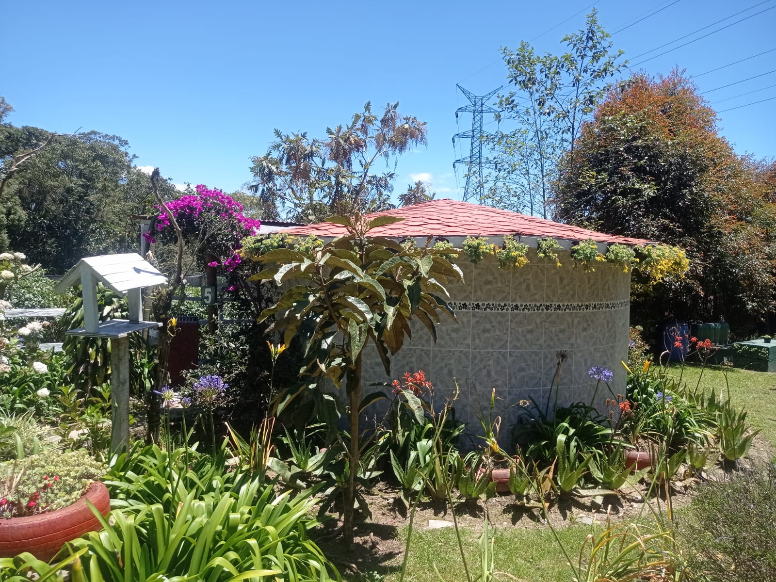 Chalet Anturio Junior